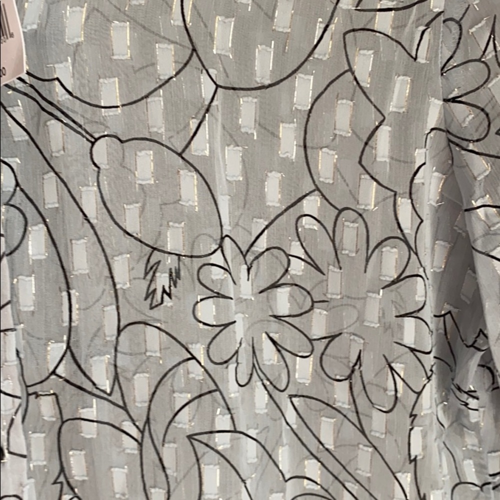 NWT Banana Republic Sheer Metallic Dillon Shirt XS - Picture 2 of 6